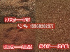 海藻籽篩分機,清選除雜效果好的機器